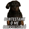 Memes pa su merce 🙈😎 7