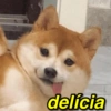 TÁ APAIXONADO? TOMA 💖 12