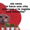 ola nena
*le hace una cita
sorpresa y le regala
una macetita*
