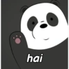 hai