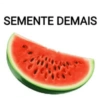 TOP frases 9
