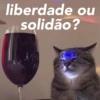 liberdade ou solidão?