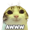 AWWW