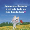 desde que llegaste a mi vida todo es mas bonito tqm 75 @unaputa.triste