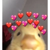 MANDA PRO SEU @  16