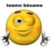 teamo bésame ARMY OF COLORS