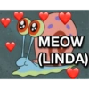 MEOW
(LINDA)