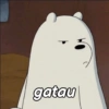 gatau