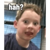 hah?