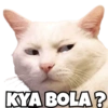 KYA BOLA?