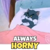 ALWAYS HORNY