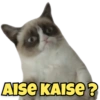 AISE KAISE?