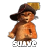 Gato con Botas Random 17