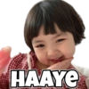HAAYE