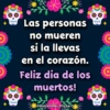 💀Dia De Los Muertos Frases🕯💐 5