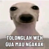 TOLONGLAH WEH
GUA MAU NGAKAK