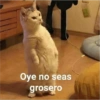 Oye no seas grosero