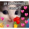 já podemos
casar?
