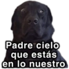 Padre cielo que estás en lo nuestro @paraguayita_01
