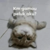 Km gamau peluk aku?
