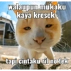 walaupun mukaku kaya kresek tapi cintaku ril no fek