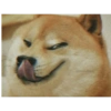 Doge 😛 16