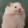 Memes without context 11