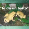 😽Animalitos Anti-depresivos 2 18