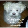 no hay pedo, es
desarrollo de
personaje