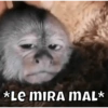*Le mIRA MAL*