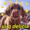 ui q delícia