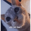 Jfa on tas?