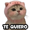 TE QUIERO