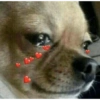 Reaction pics 10