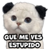 QUE ME VES ESTUPIDO