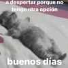 a despertar porque no
tengo otra opción
buenos días