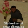 Ola keri ser el
amor demibida