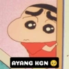 to 3 AYANG KGN 276