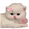 ✨🐱Michis🐱✨ 19
