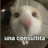 @
una consultita