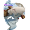 Osilickers 9