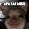 APA SALAHKU