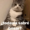 @memasting
¿todavía sabré
besar?