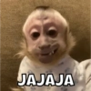 JAJAJA