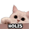 HOLIS