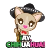 ¡AY CHIHUAHUA!