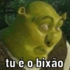 tu é o bixão