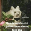 @unpokitontriste
Hoy desperté con
ganas de morirme,
felis día