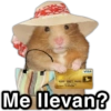 @paraguayita_01 VISA 4000 0801 0620 092 09/00-89/90 ROBERT SCHWAN Me llevan?