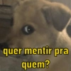 Memes pro love 😂💖 14